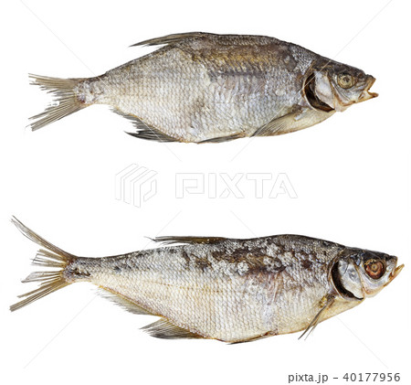 dried fish on a white background dried fish on a white background 40177956