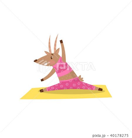 Cute antelope warming-up and stretching before training. Funny humanized animal in pink sportswear Cute antelope warming-up and stretching before training. Funny humanized animal in pink sportswear 40178275
