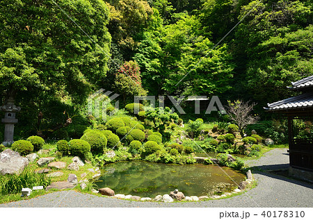 清見寺　庭園 40178310