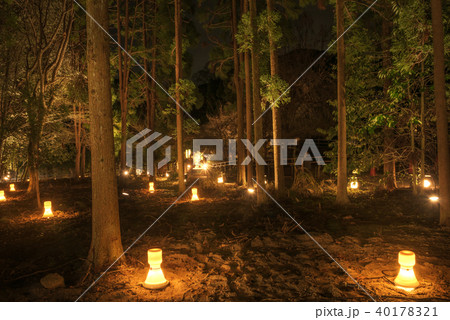 嵐山花灯路 長神の杜 嵐山花灯路 長神の杜 40178321