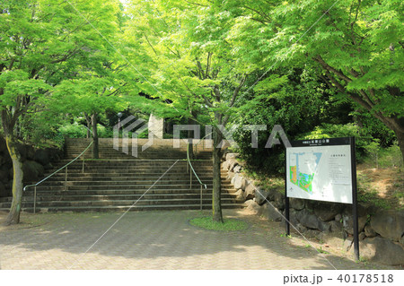 紅葉山公園(中野区) 40178518