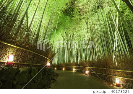 嵐山花灯路　竹林の小径 40178522
