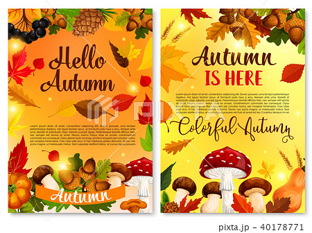 Autumn Hello fall seasonal vector greeting card 40178771