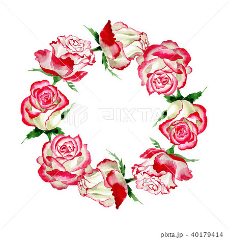 White-red rose. Floral botanical flower. Wild spring leaf wildflower frame. 40179414