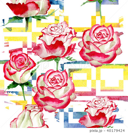 White-red rose. Floral botanical flower. Wild spring leaf wildflower pattern. 40179424