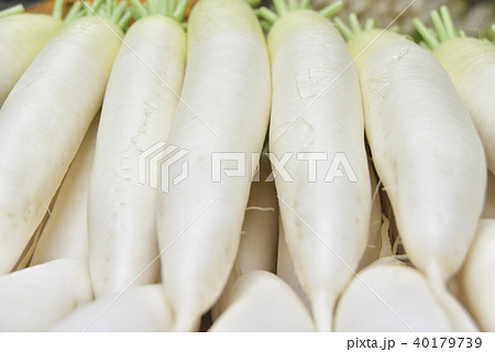 大根 大根 40179739