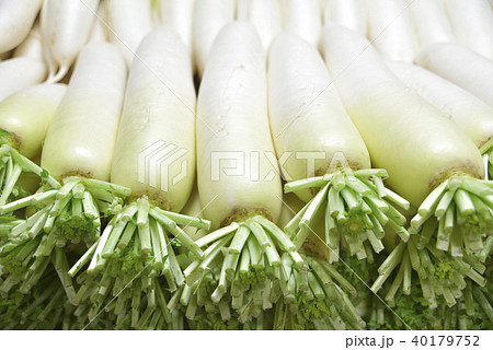 大根 40179752