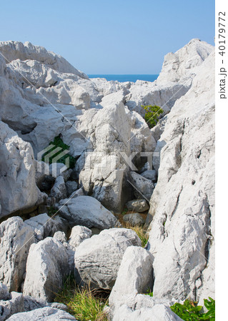 白崎海岸(和歌山県) 白崎海岸(和歌山県) 40179772