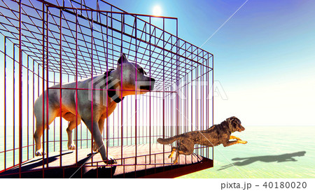dogs getting out of cage 3D rendering 40180020