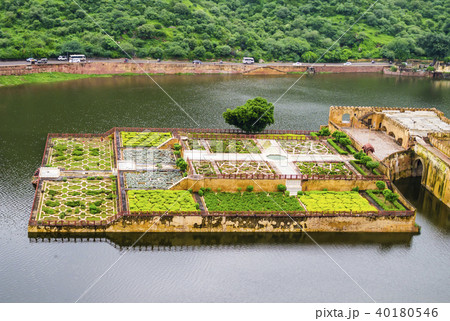 Amber fort gardens on Maota Lake, Jaipur, India Amber fort gardens on Maota Lake, Jaipur, India 40180546