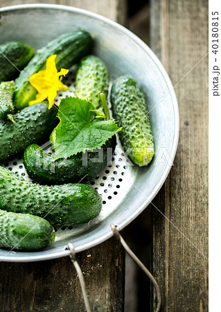 cucumber in a old sieve 40180815