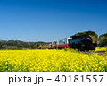 小湊鐵道 石神の菜の花畑を走る里山トロッコ号 40181557