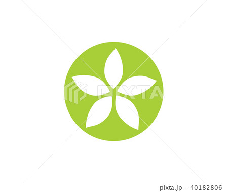 Jasmine flower icon logo template 40182806