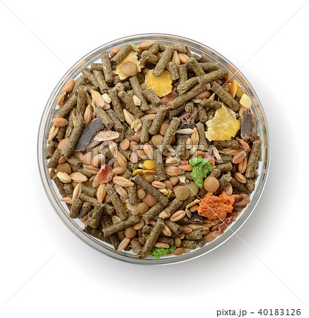 Top view of bowl with compound rodents feed 40183126