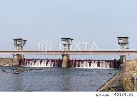 小貝川の福岡堰(茨城県つくばみらい市) 小貝川の福岡堰(茨城県つくばみらい市) 40184659