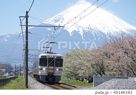 御殿場線　御殿場付近の富士山と桜（313系普通列車） 40186382
