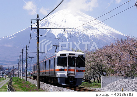 御殿場線 御殿場付近の富士山と桜 313系普通列車2 の写真素材