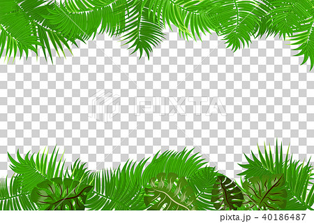 Summer Jungle Palm Leaf Frameのイラスト素材 40186487 Pixta