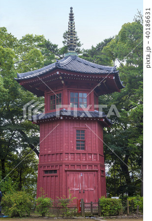 哲学堂公園の六賢台(東京都中野区) 哲学堂公園の六賢台(東京都中野区) 40186631
