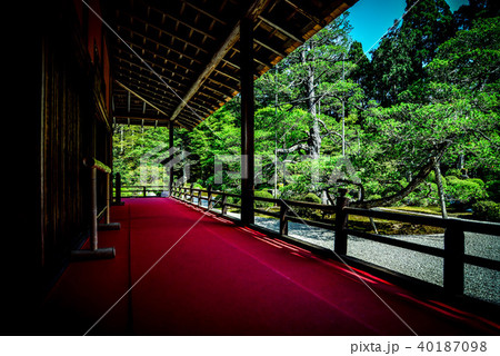 曼殊院門跡　庭園の眺め 40187098