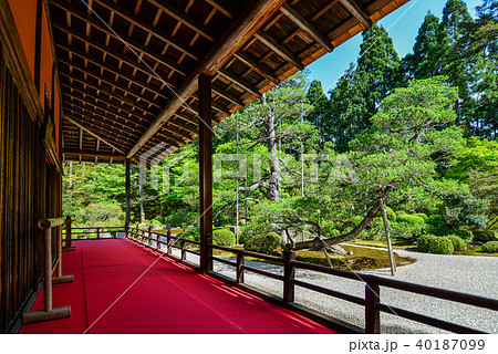 曼殊院門跡　庭園の眺め 40187099