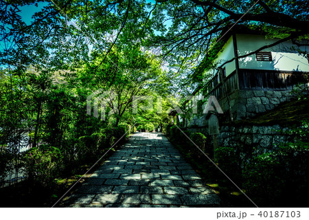 曼殊院門跡 京都 境内 庭園の眺め 曼殊院門跡 京都 境内 庭園の眺め 40187103