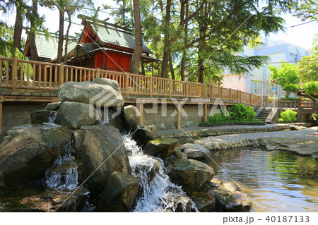 古川親水公園の湧水と二之江神社(4月)東京都江戸川区 古川親水公園の湧水と二之江神社(4月)東京都江戸川区 40187133