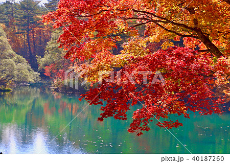 秋の五色沼（裏磐梯） 40187260