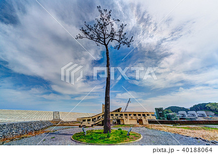 陸前高田・奇跡の一本松 HDRイメージ 陸前高田・奇跡の一本松 HDRイメージ 40188064