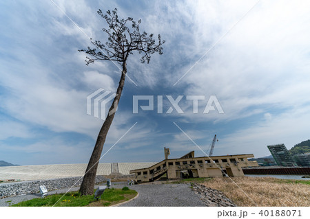陸前高田・奇跡の一本松 陸前高田・奇跡の一本松 40188071