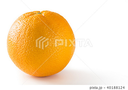 ネーブルオレンジ 40188124