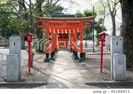 東京都 府中市 大國魂神社 神戸稲荷 ごうどいなり 神社の写真素材