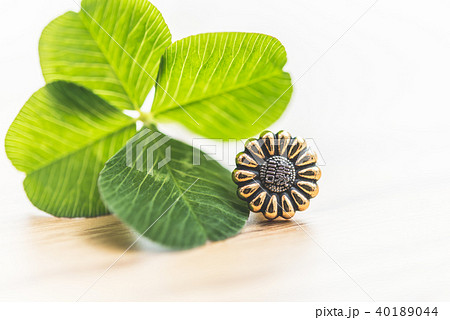 四葉のクローバー 四葉のクローバー 40189044