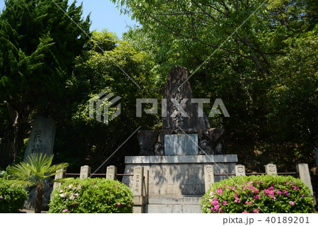 国府山城 国府山城 40189201