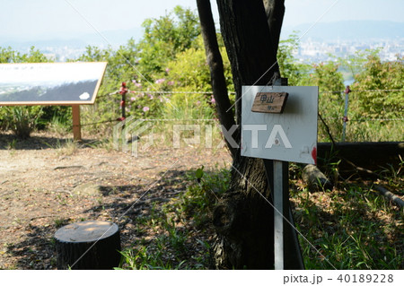 国府山城 40189228