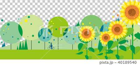 Green path where sunflowers bloom Green path where sunflowers bloom 40189540