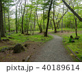 森林 40189614