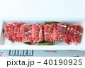 馬刺し 40190925