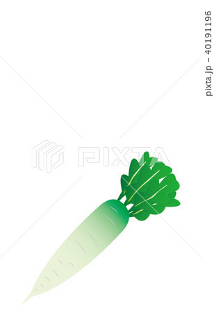 野菜だいこん 40191196
