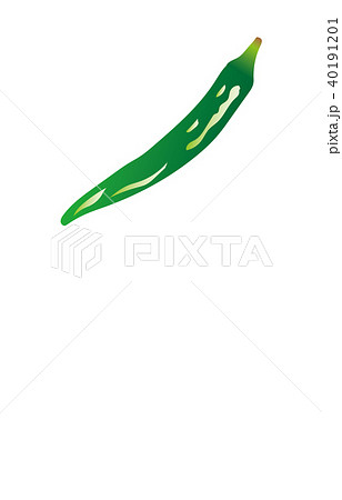 野菜とうがらし 40191201