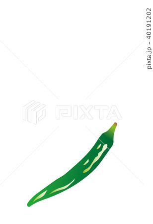 野菜とうがらし 野菜とうがらし 40191202