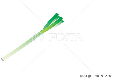 野菜ながねぎ 40191210