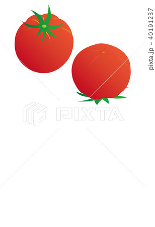 野菜トマト 野菜トマト 40191237