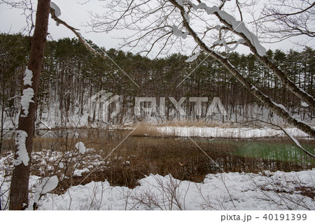 冬のみどろ沼・五色沼（福島県） 40191399
