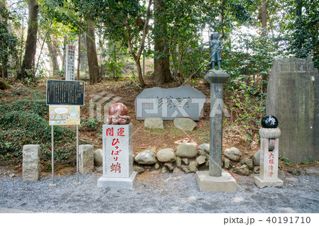 高尾山　高尾山薬王院　蛸杉側の開運ひっぱり蛸 40191710