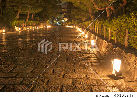 東山花灯路 大谷祖廟参道 東山花灯路 大谷祖廟参道 40191845