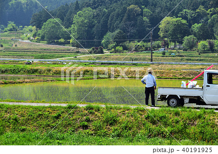 田植えの季節 田植えの季節 40191925