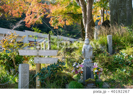 高尾山 高尾山薬王院 表参道 登山道一号路 登山口付近の風景 高尾山 高尾山薬王院 表参道 登山道一号路 登山口付近の風景 40192267