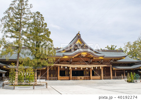神奈川県　寒川町　寒川神社　御社殿 40192274