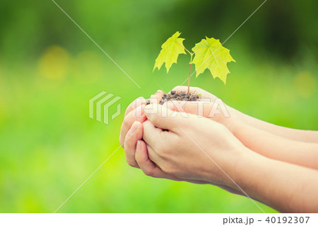 Adult and child holding little green plant in hands Adult and child holding little green plant in hands 40192307